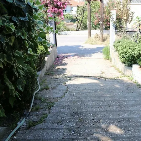 Case de vacanță Meltemi