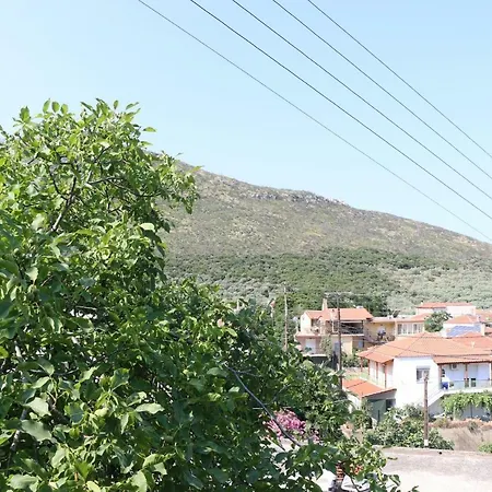 Meltemi *